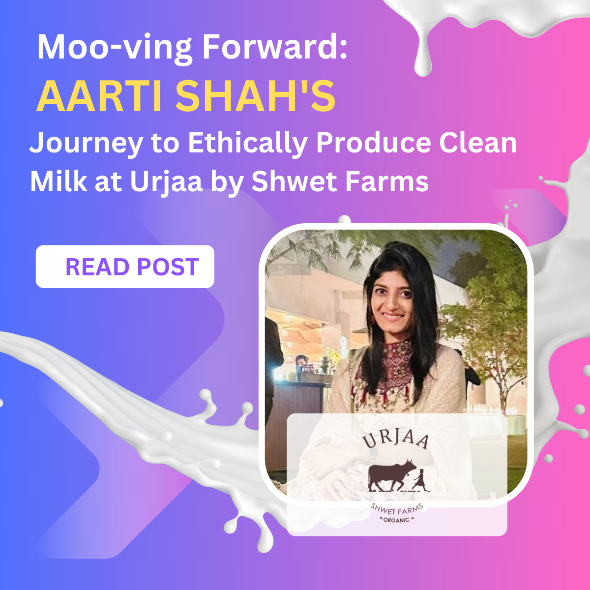 Moo-ving Forward: Journey to Clean and Healthy Dairy at Shwet Farms
